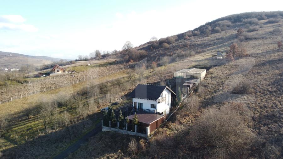 De vanzare Casa cu gospodarie in Mera
