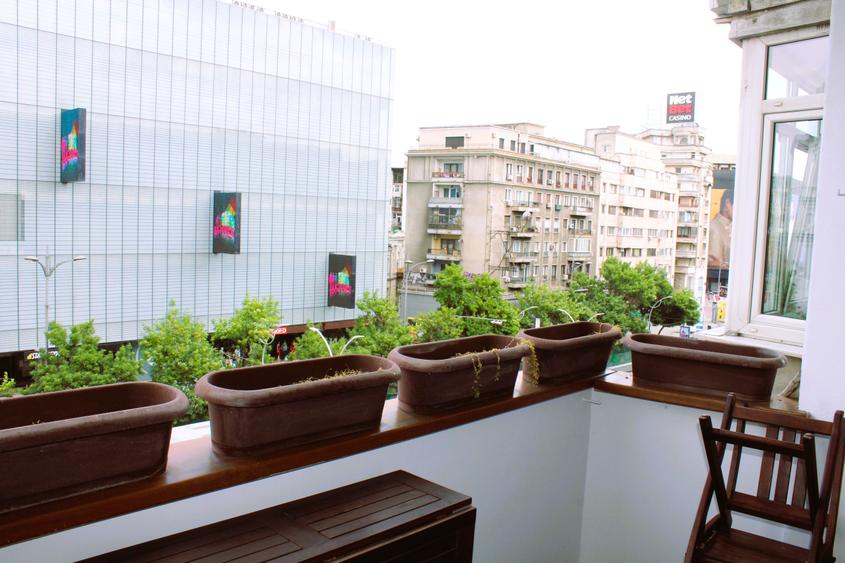 Hop Into Your New Home – 2-Room Apartment with Bubu & Babu!