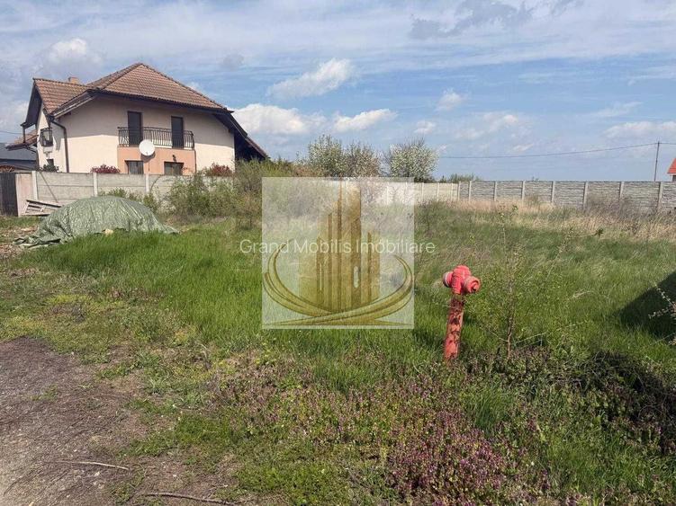 Teren intravilan Săcălaz, 600 mp, front 20 m, împrejmuit