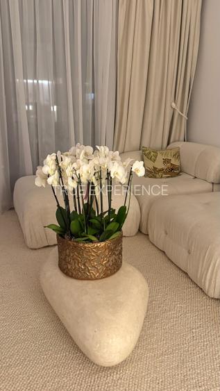 | CORTINA NORTH | 2 CAMERE | PRIMA ÎNCHIRIERE | ETAJ 9 | PARCARE INCLUSA | - 7