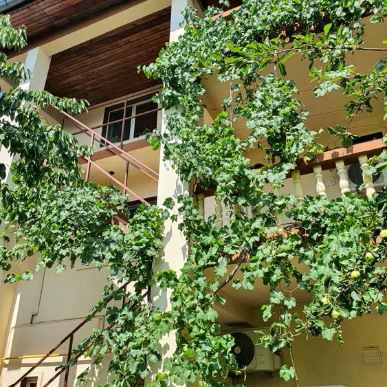 Vila multifamiliala /3 apartamente si 1 studio /Sector 2 /curte individuala