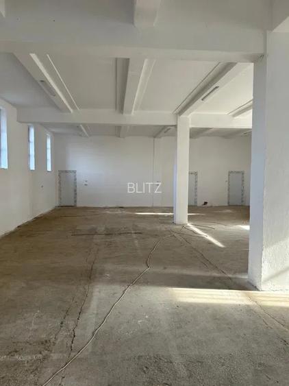 Hala industriala, 960 mp, Brestei - 2