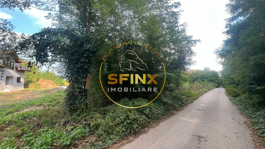 Teren intravilan 2.500 mp | Snagov | Padure I Drum asfaltat