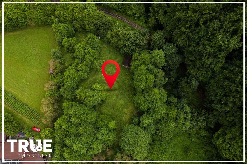 Teren intravilan 2.800 m² în Câmpu Cetății – liniște și natură