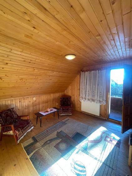 Oportunitate! Casa P+1 deosebita, 223mp, teren 2544mp, Cicarlau