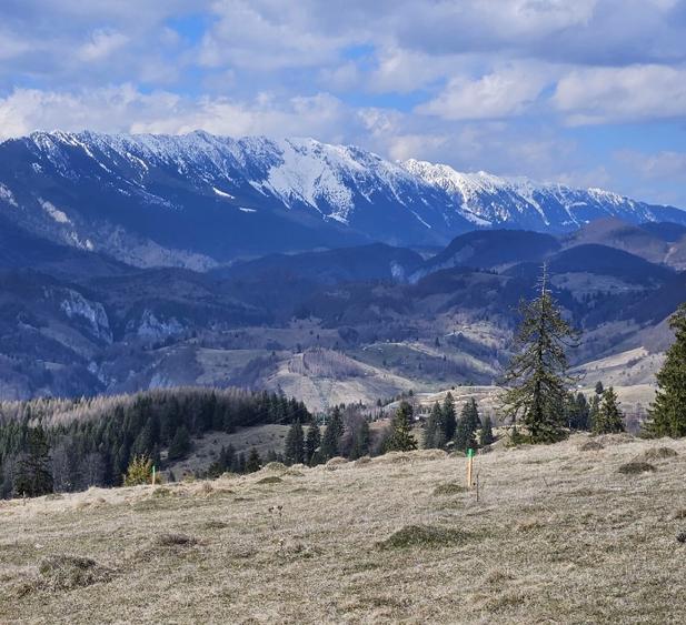 Vând/schimb cu apartament sau casă în Brașov Teren panoramic 7.2 hectare