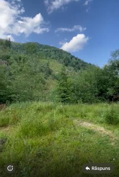 Teren pentru constructie in Valea Ierii cu front la dum asfaltat si utilitati