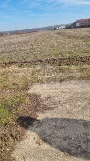 TEREN INTRAVILAN CONSTRUCTII 2240 MP lIPANESTI - 3