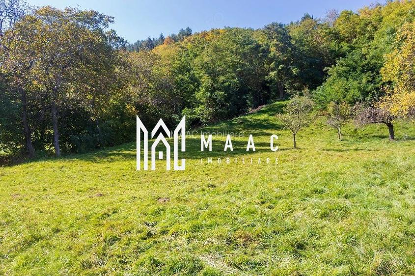 Teren | Intravilan | 2439 MPU | Fântânele - 5