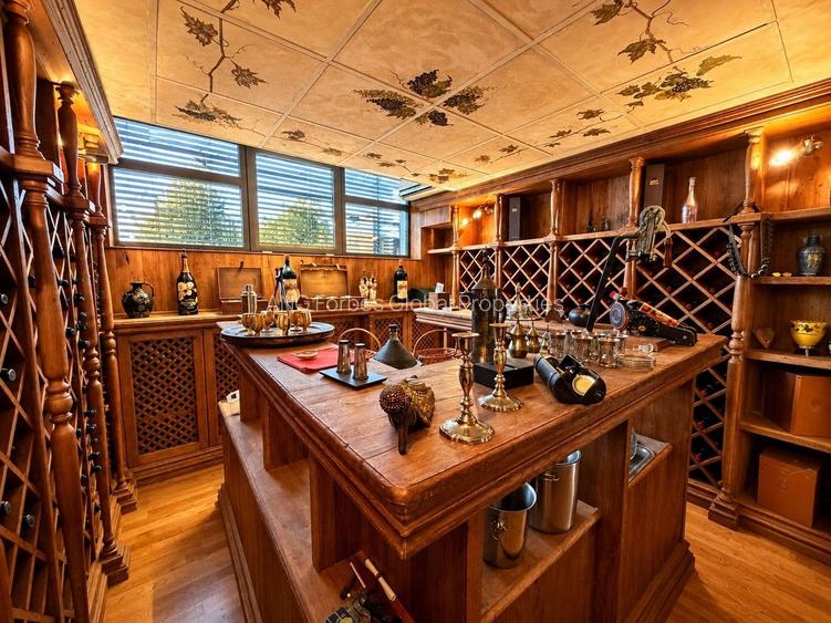 PENTHOUSE IN HERASTRAU — O RESEDINTA CARE TINE PASUL CU VIATA TA - 23