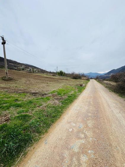 Teren Construcții intravilan de 6042 mp, în Berzasca
