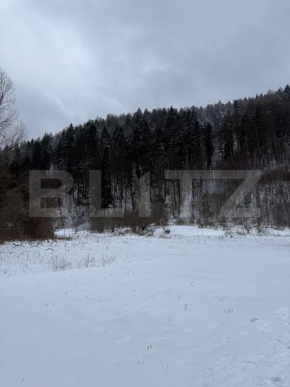 Cabană la munte în inima pădurii la 15 km de Brașov, zona Zizin