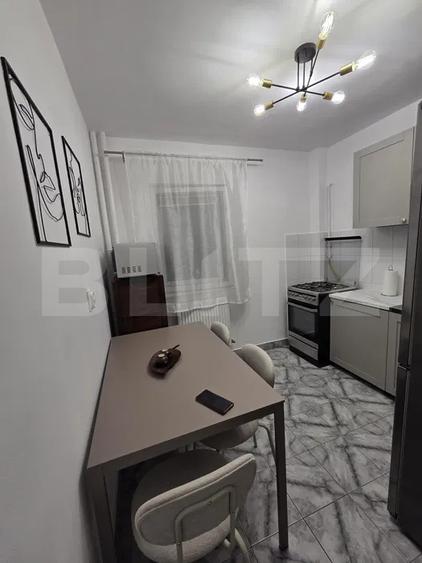 Apartament 1 camera, 42 mp, pet-friendly, zona Mehedinti