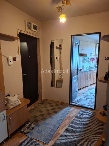 APARTAMENT ULTRACENTRAL CU PANORAMA  SUPERBA ASUPRA ORASULUI - 32