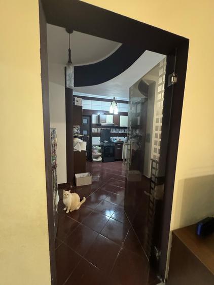 Apartament 3 camere Cismigiu, Plevnei 1