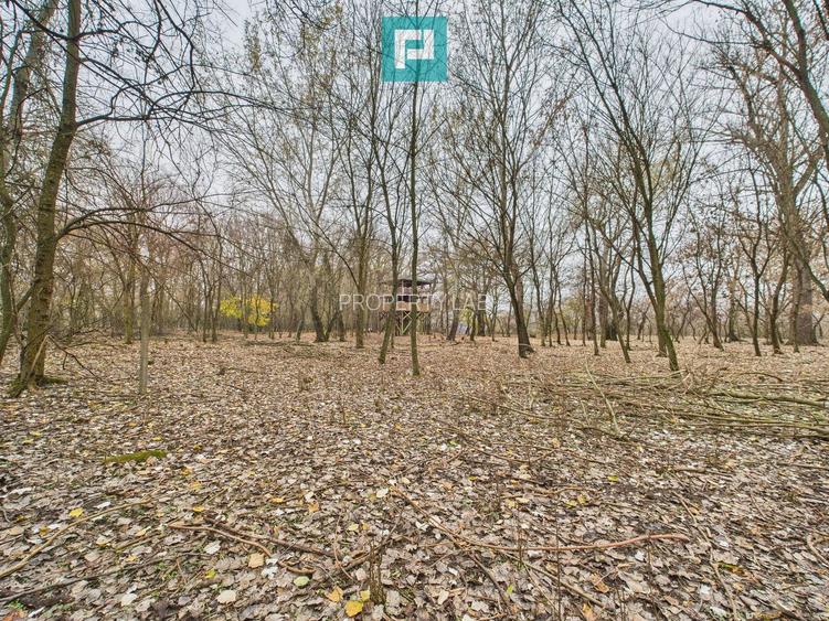 Teren pe malul Mureșului- oportunități multiple - 31