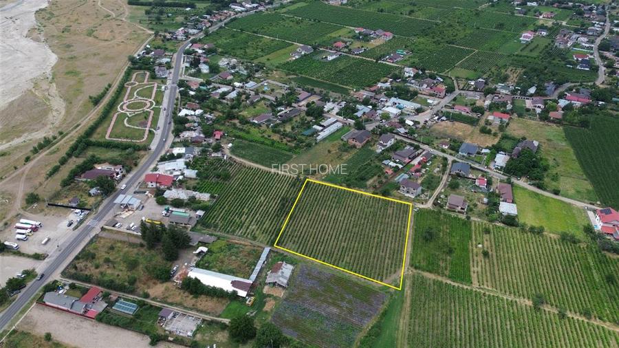 Teren de vanzare, 7425mp,  Unirea Odobesti - Extravilan - 3