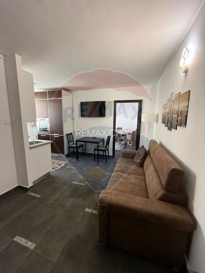 Apartament cu 2 camere de închiriat în zona Precista - 5