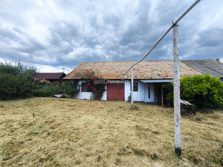 DE VÂNZARE – Domeniu cu casă, teren și afacere zootehnică avicolă în Dochia, NT - 6
