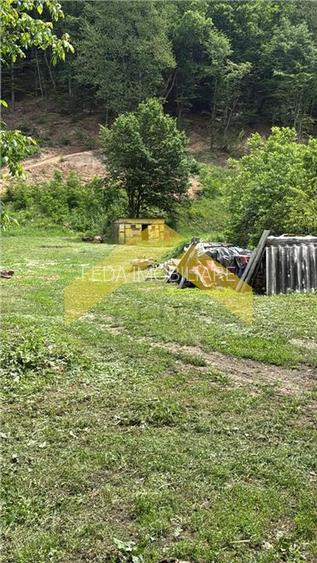Teren intravilan 2.635 mp Savarsin ideal casa sau investitie - 4
