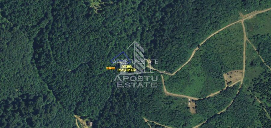 Teren intravilan, 1000 și 1050mp front stradal generos, Valiug - 2