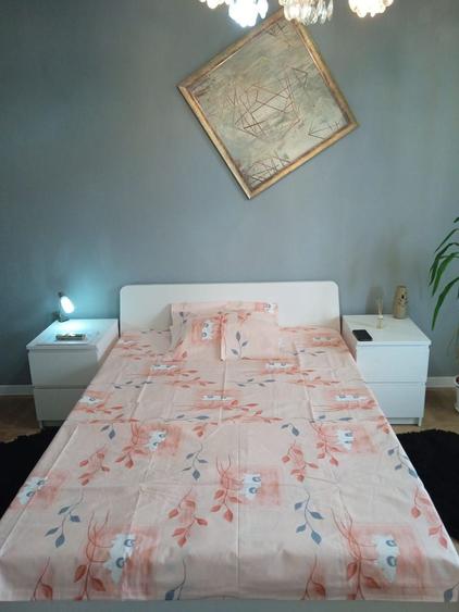 Apartament 2 camere Cismigiu/Piata Operei