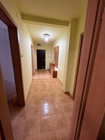 Vand apartament 2 camere Balcescu - 10
