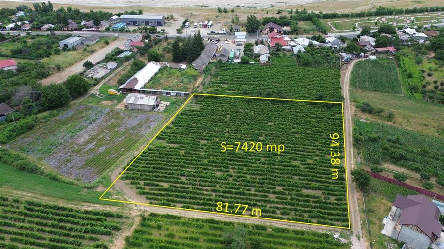 Teren de vanzare, 7425mp, Unirea Odobesti - Extravilan