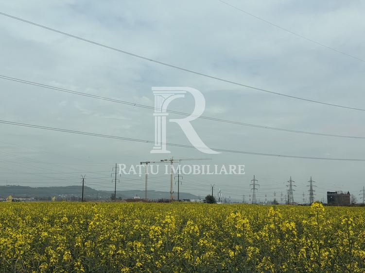 Development Site 3,12 Ha | Rezidențial + Comercial | DN76 | Oradea