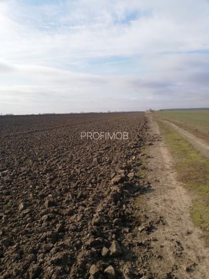 Teren  stradal , zona in dezvoltare , posibil marire suprafata . - 4