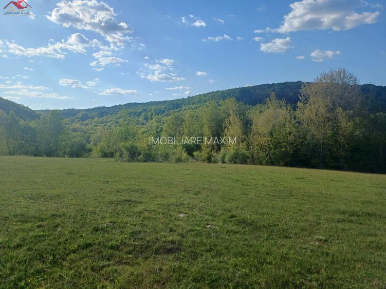 Teren extravilan Bradu - zona cu panorama superba - 4