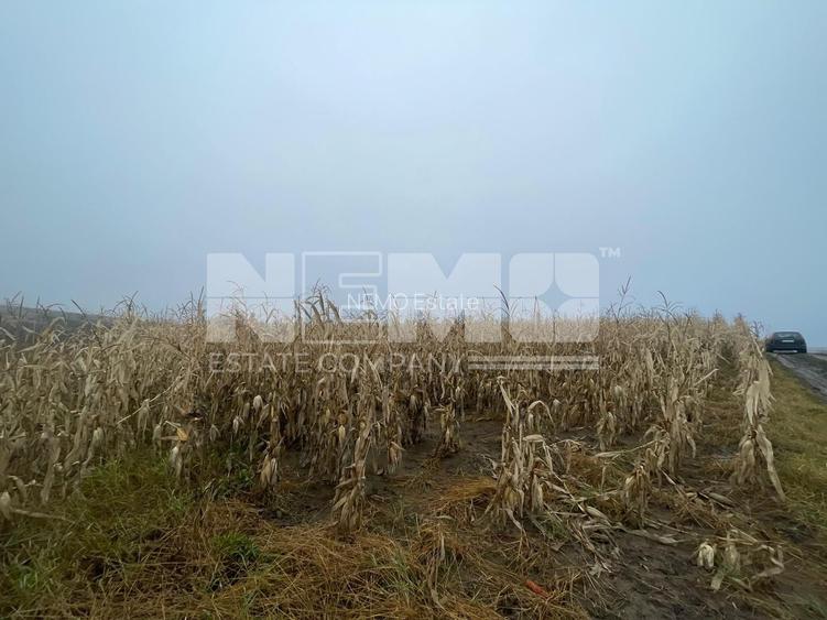 TEREN EXTRAVILAN | DOUA PARCELE 2.84 HA| DARMANESTI - 12