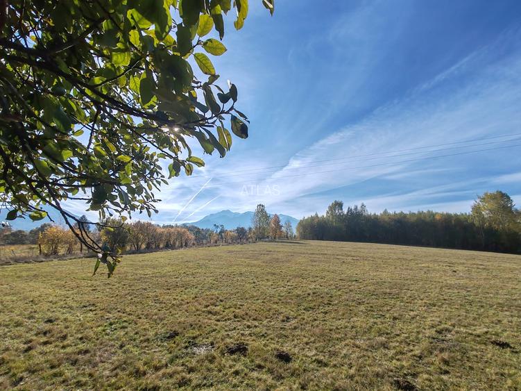 5.800 mp extravilan, Sohodol-Bran, retreat, cabane, off-grid ecoturism, panorama - 5