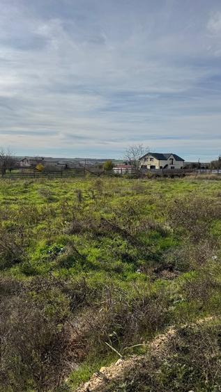 Teren intravilan construibil 464mp Valu lui Traian PUZ APROBAT