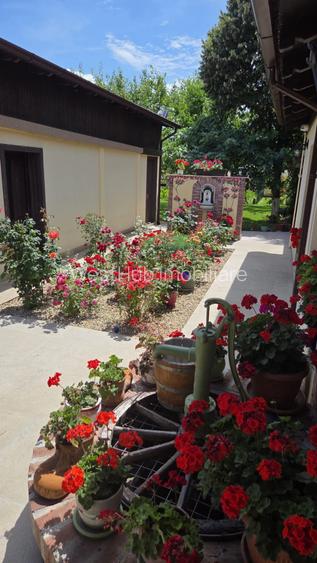 Casa din povesti, 5 camere, pe parter- zona Lipovei Timișoara - 3