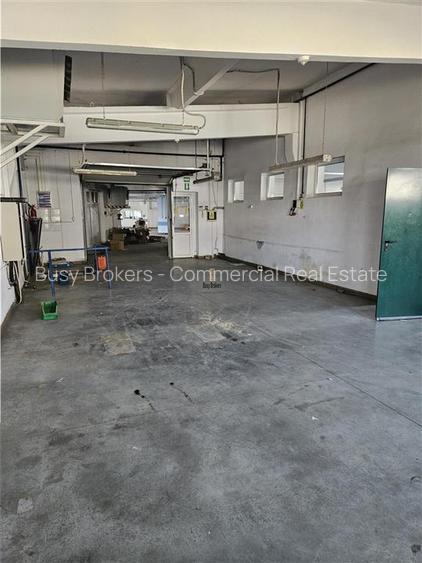 Exclusivitate - Proprietate Industriala De Vanzare - Productie - Depozitare - 9