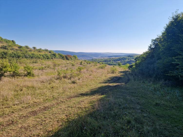 Teren 5800 mp extravilan in Suceagu ideal investitie