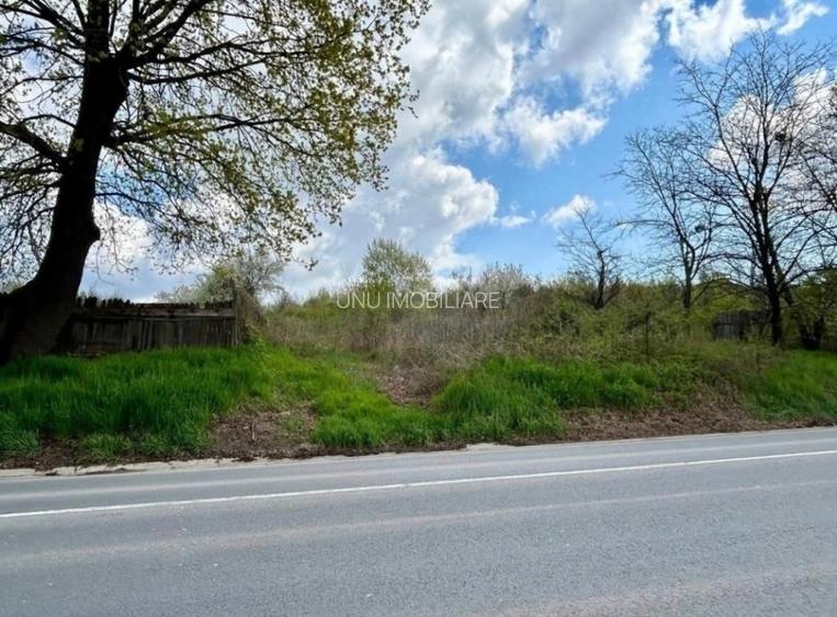 Teren intravilan Bucium Iași – plan doi, 55 ml deschidere, drum privat 7 m - 2