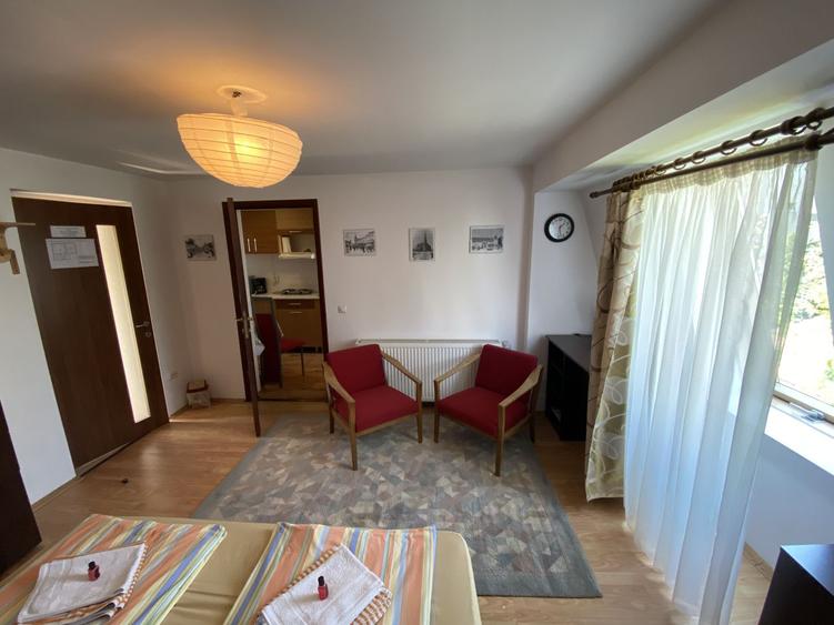 Apartament cu o cameră/ 30 mp/ finisat modern/ cartier Mănăștur