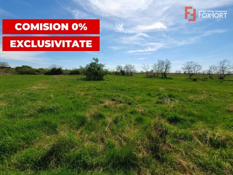 Comision 0% Teren intravilan 3000 mp in Padureni Jebel