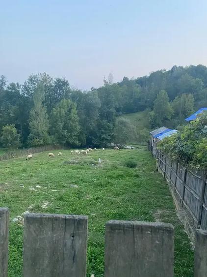 TEREN DE VANZARE 1.688 MP| SULTANU | VISINESTI | DEALURILE SULTANULUI