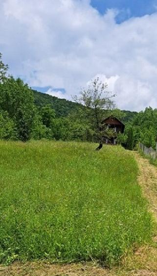 Prahova-Cosmina de Sus, Teren cu casa p+1