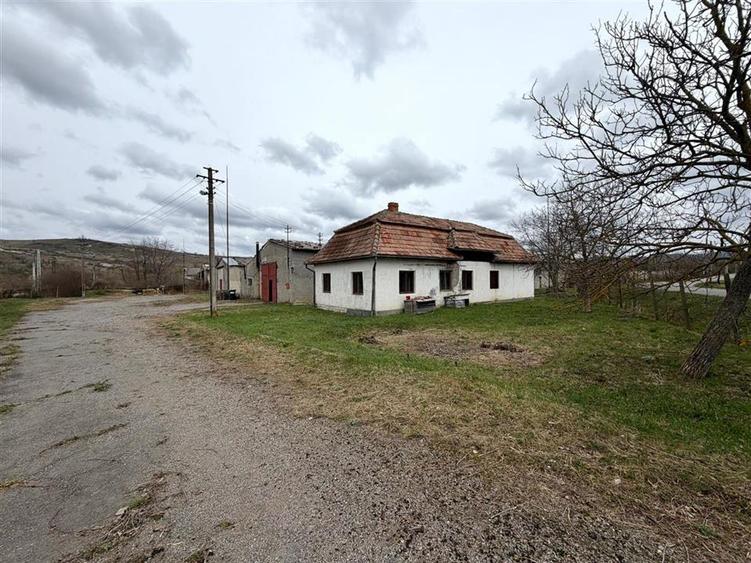 HALE INDUSTRIALE | CLADIRE BIROURI | TEREN 7000 MP | GHEGHIE BIHOR