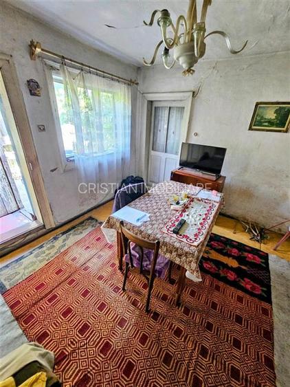Casa batraneasca cu teren 295 mp, deschidere 8 m, Chercea - 14