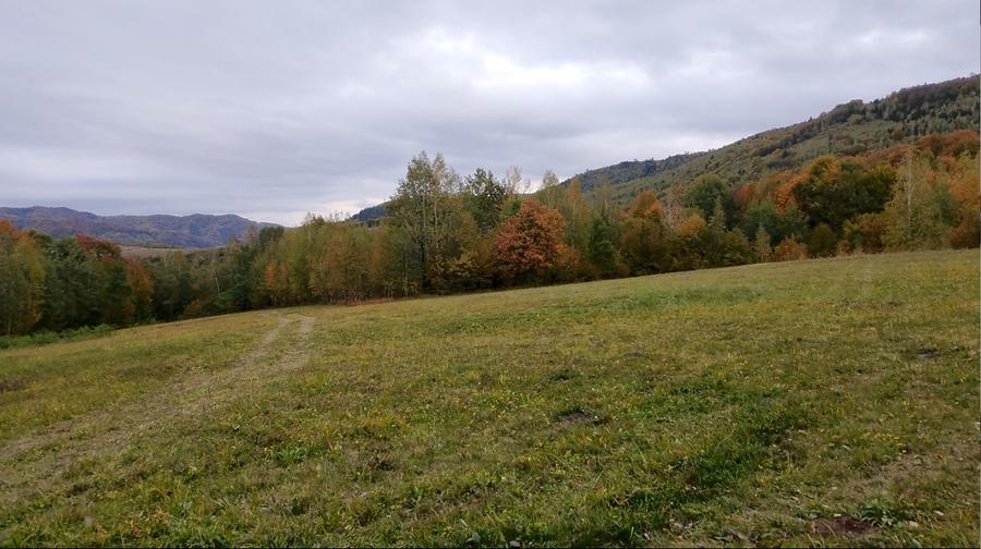 Teren extravilan, zona manastirii Sinca Noua 2652 mp