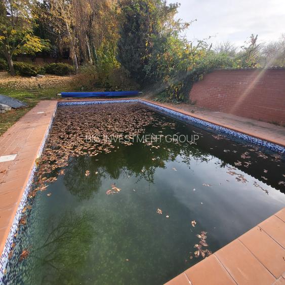 Vila lac snagov in cea mai buna portiune a lacului, ponton, garaj barca, piscina - 38