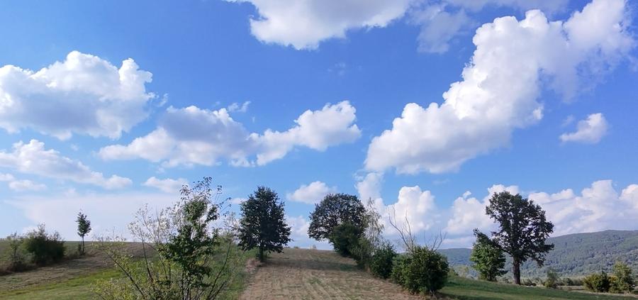 Șinca Nouă – 8.439 mp pentru agricultură, apicultură și investiție in viitor