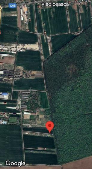 SNAGOV  TANCABESTI- STRADA MIHAI EMINESCU