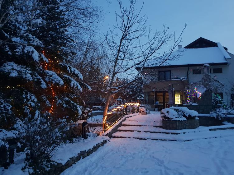 Vila superbă cu curte de 1700 mp