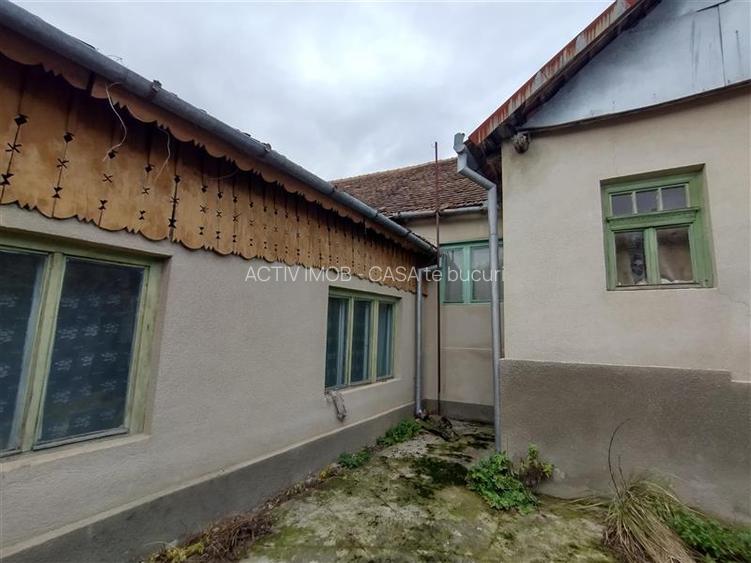 Bogodint, Casa cu 4 Hectare Teren, Pret Negociabil - 35